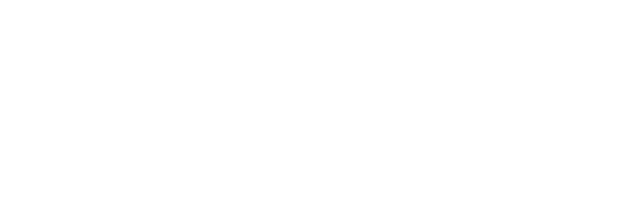Neoris logo